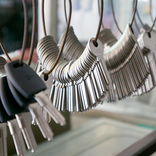 Rows of blank metal keys